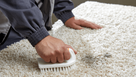 Professional Rug Cleaning Toorak